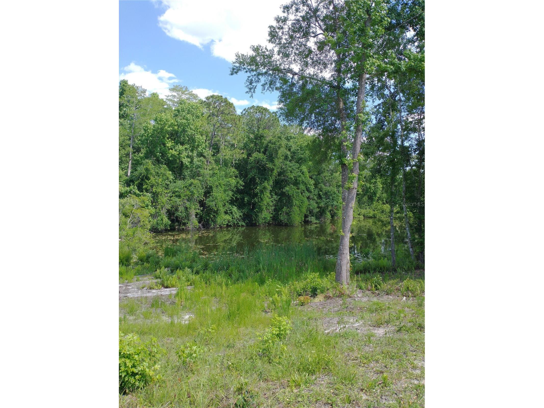 0000 Eagle Boulevard Land O Lakes FL 34639 R4911330 image3