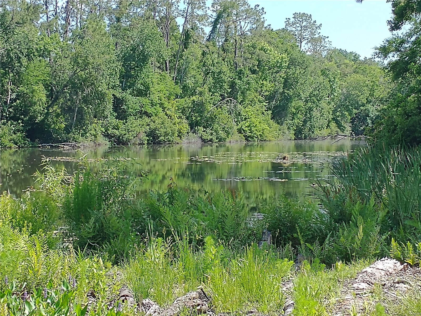 0000 Eagle Boulevard Land O Lakes FL 34639 R4911330 image4