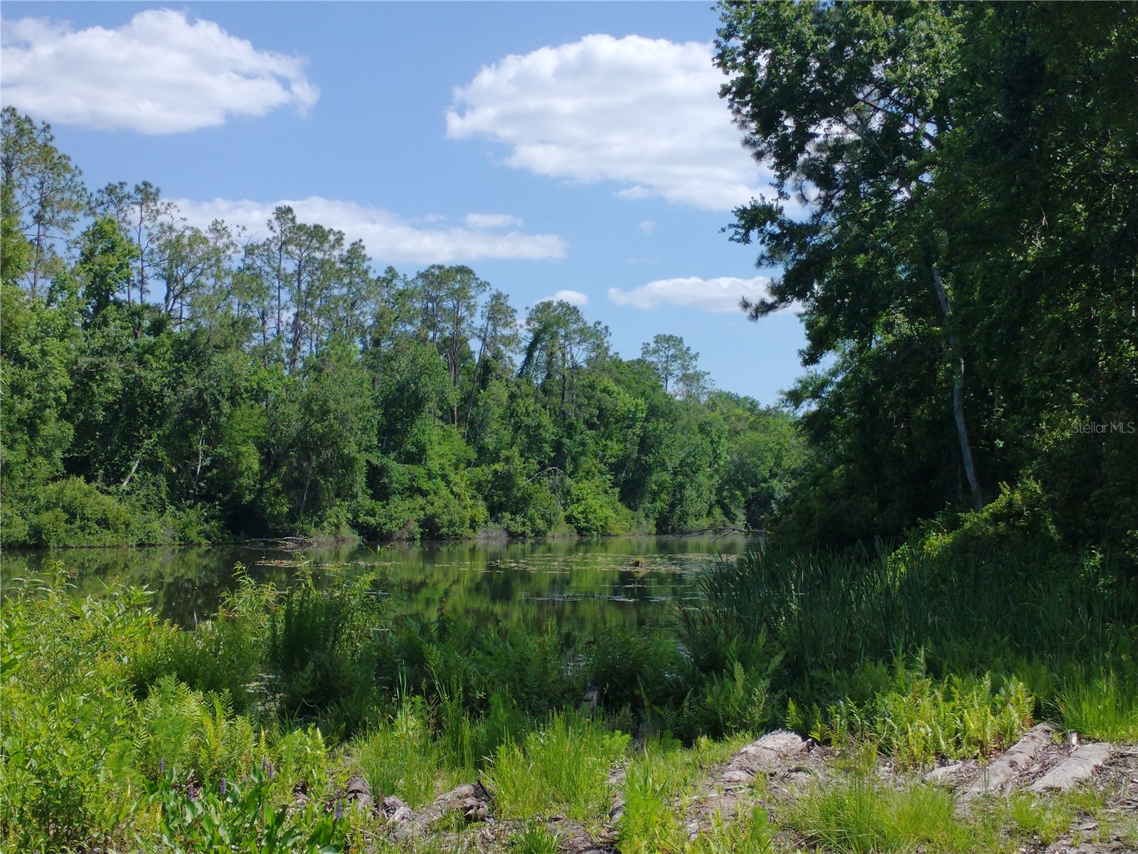 0000 Eagle Boulevard Land O Lakes FL 34639 R4911330 image5