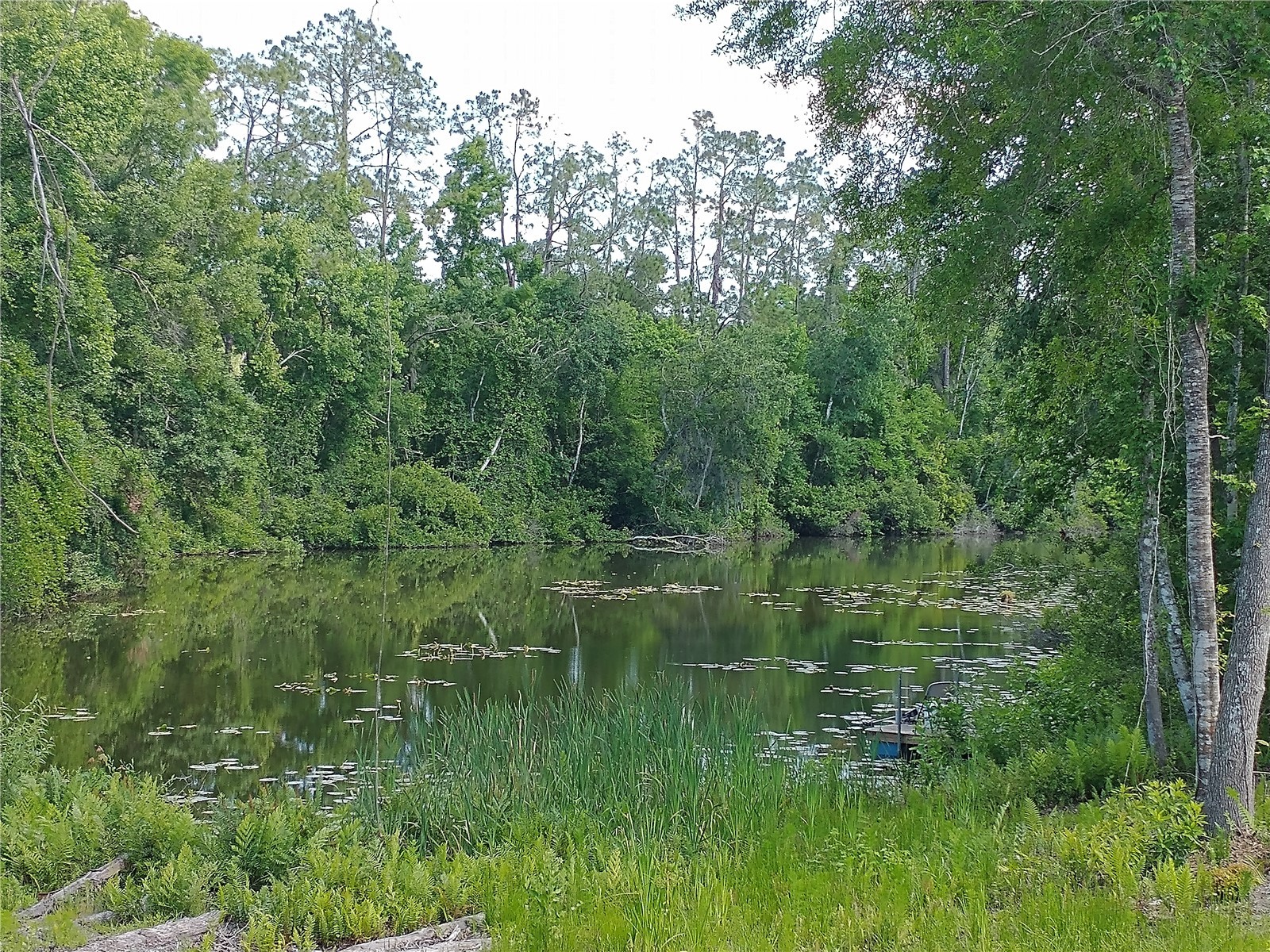 0000 Eagle Boulevard Land O Lakes FL 34639 R4911330 image6