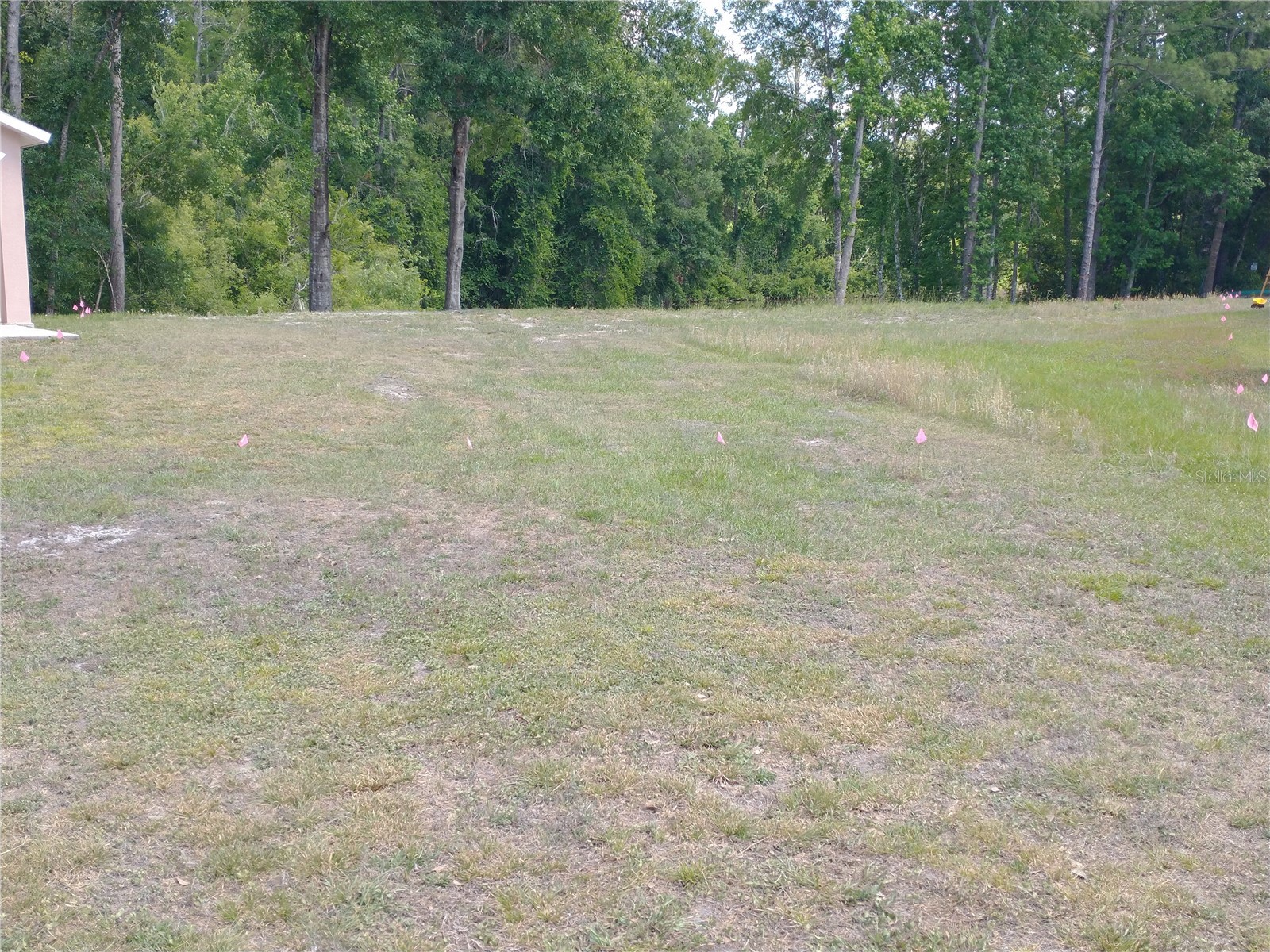 0000 Eagle Boulevard Land O Lakes FL 34639 R4911330 image7