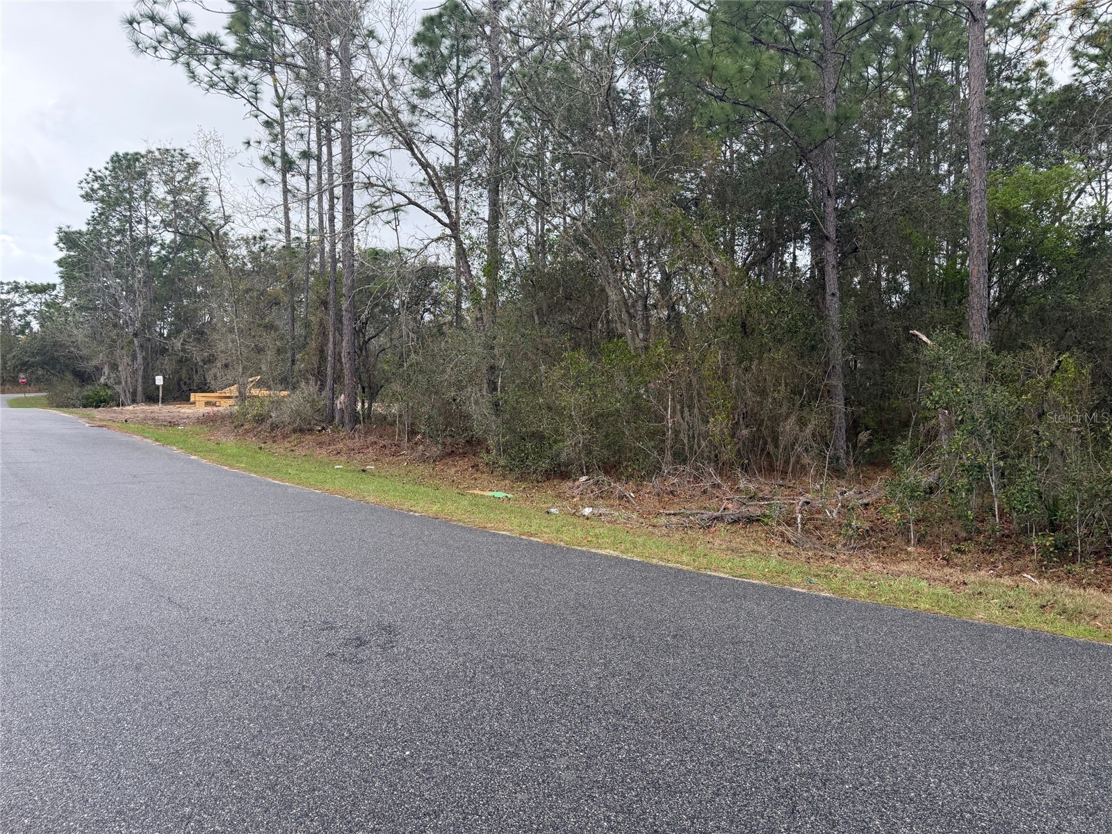 0000 Fir Drive Track Ocala FL 34472 O6390281 image2