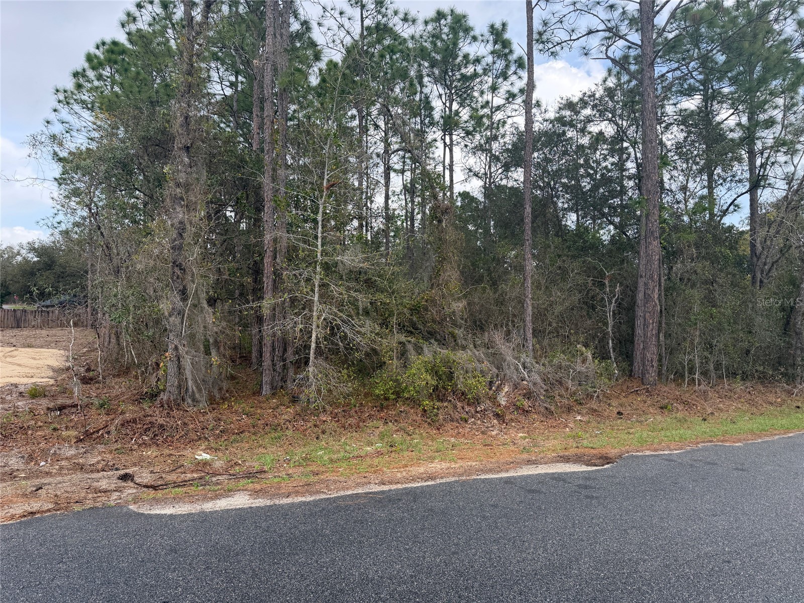 0000 Fir Drive Track Ocala FL 34472 O6390281 image3