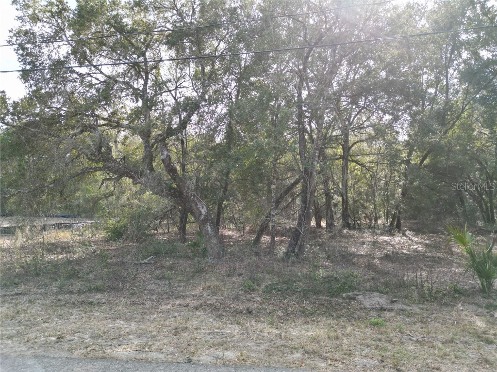 0000 Guava Terrace Ocklawaha FL 32179 G5077797 image1