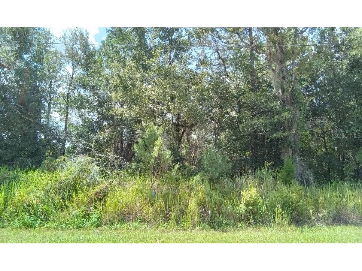 0000 Hemlock Radial Trail Ocala FL 34472 O6146390 image1