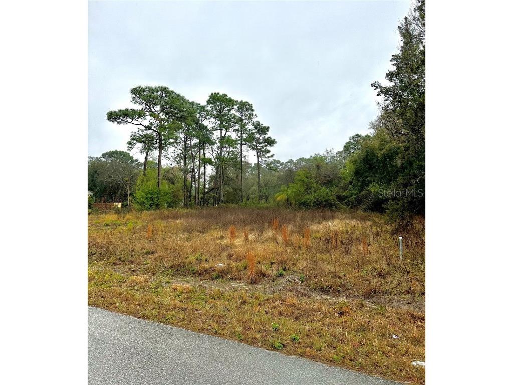 0000 Midvale New Port Richey FL 34654 W7862233 image1