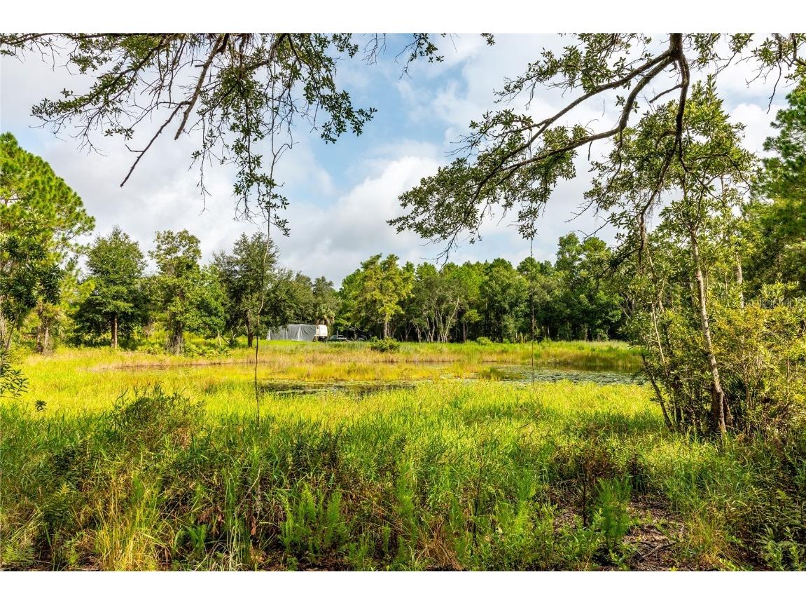 0000 (Misty Isle) Wild Acres Trail Paisley FL 32767 V4932189 image1