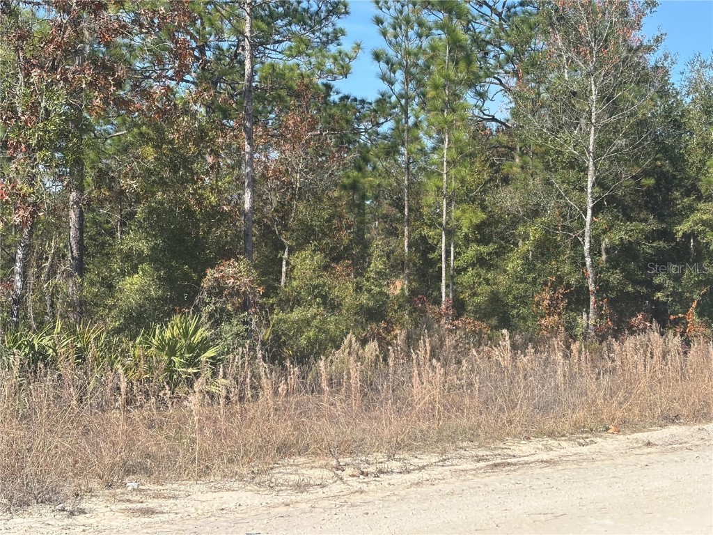 0000 NE 106th Court Archer FL 32618 TB8448586 image2