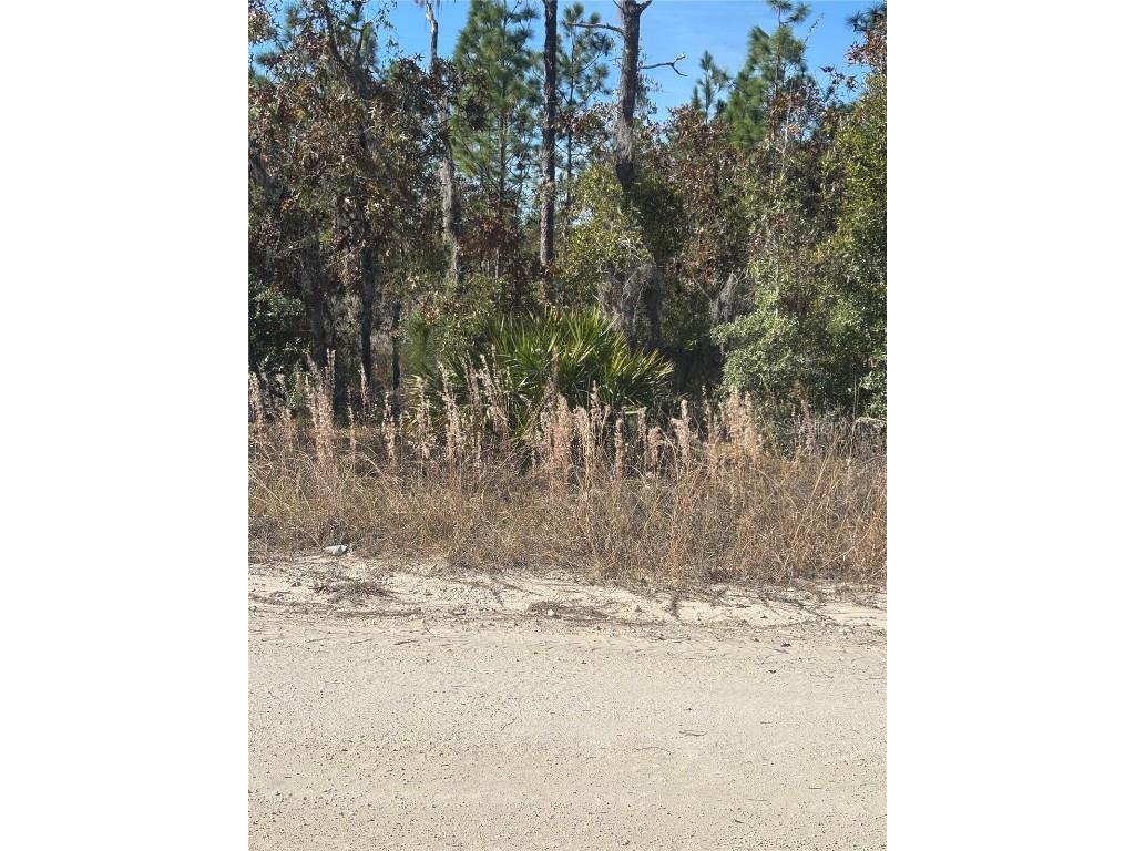 0000 NE 106th Court Archer FL 32618 TB8448586 image3