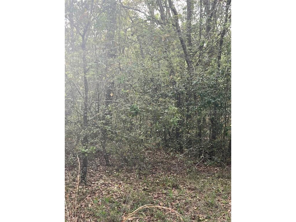 0000 NE 125th Street Bronson FL 32621 O6299508 image1