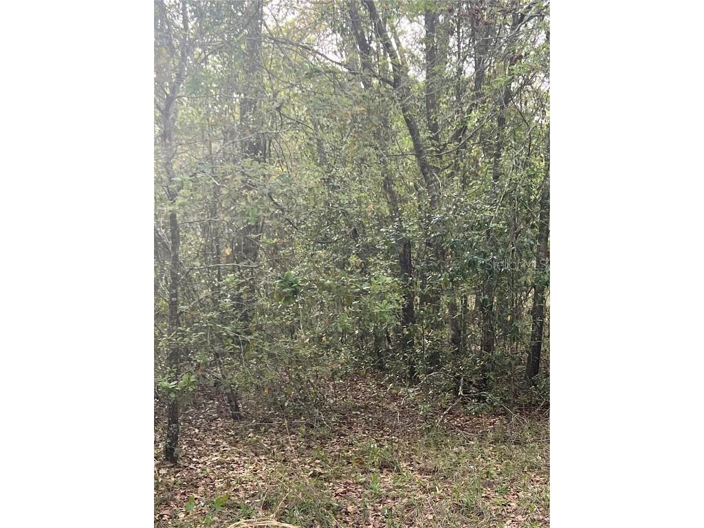 0000 NE 125th Street Bronson FL 32621 O6299508 image2