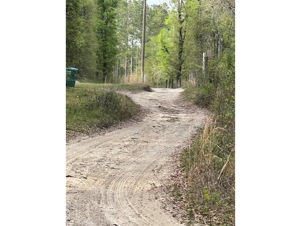 0000 NE 125th Street Bronson FL 32621 O6299508 image4