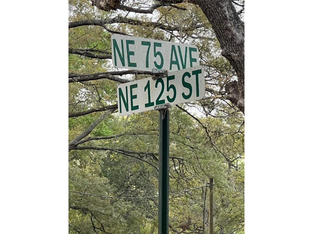 0000 NE 125th Street Bronson FL 32621 O6299508 image5