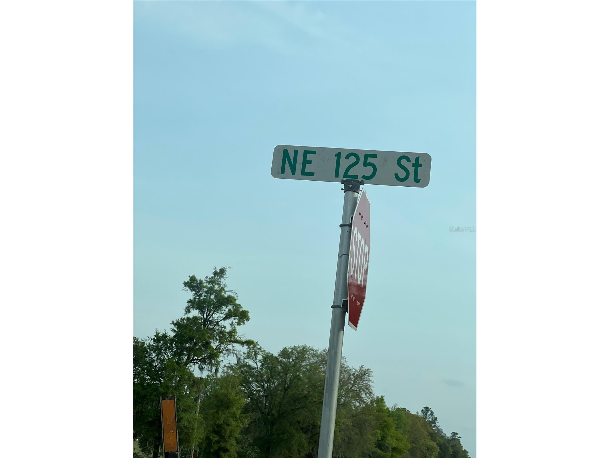 0000 NE 125th Street Bronson FL 32621 S5150233 image10