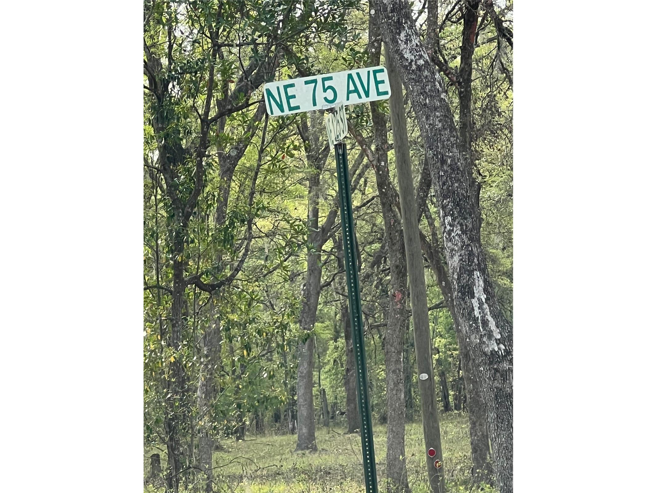 0000 NE 125th Street Bronson FL 32621 S5150233 image3