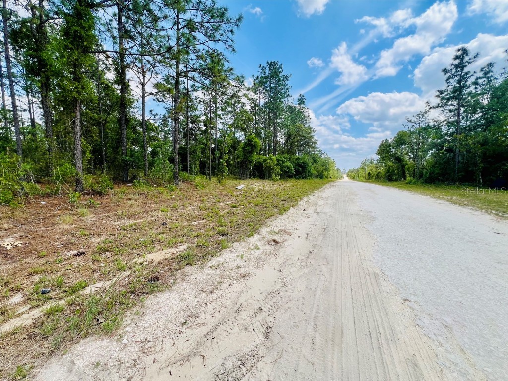 0000 NE 131 Terrace Terrace Williston FL 32696 OM699998 image4