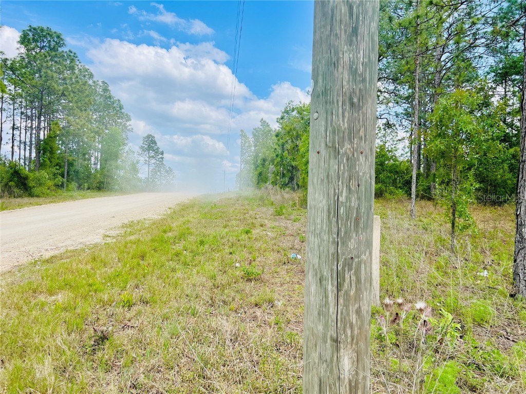 0000 NE 131 Terrace Terrace Williston FL 32696 OM699999 image3