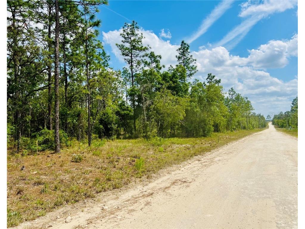 0000 NE 131 Terrace Williston FL 32696 OM699996 image3