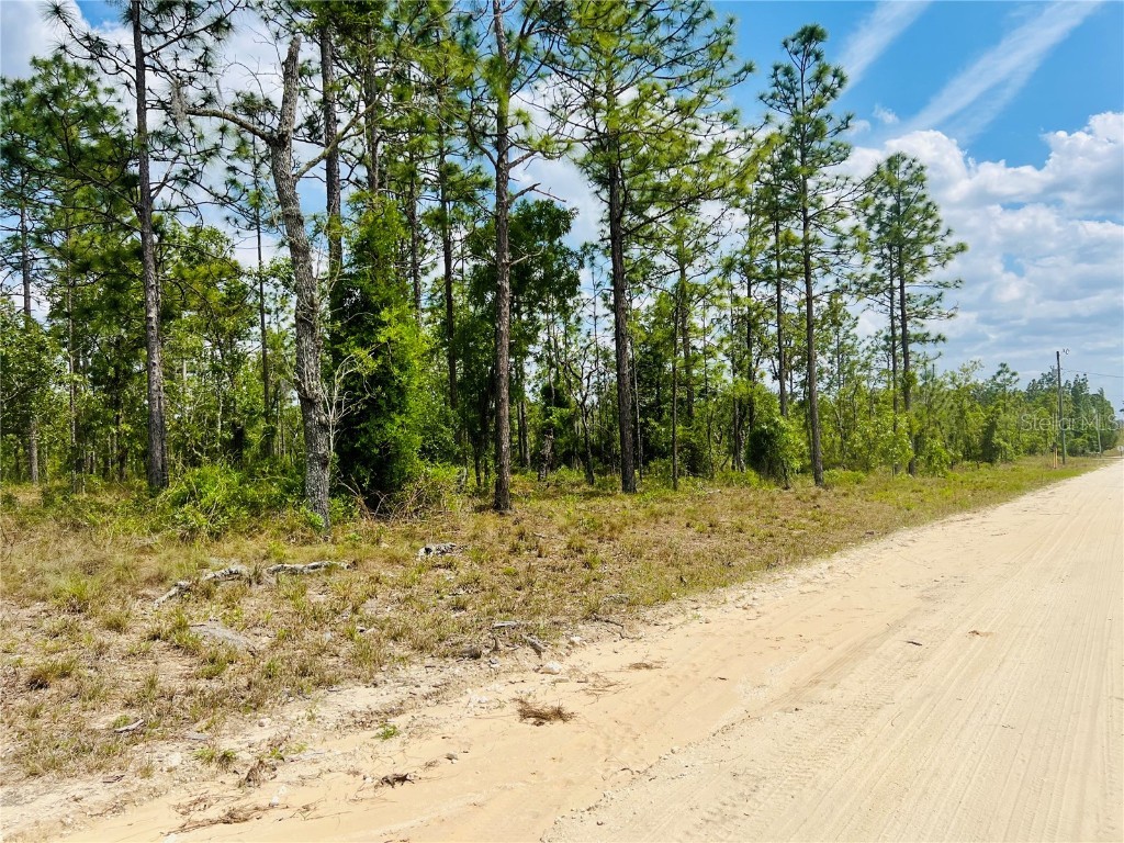 0000 NE 131 Terrace Williston FL 32696 OM699996 image4