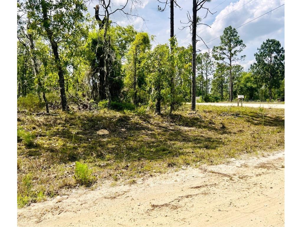 0000 NE 132 Terrace Terrace Williston FL 32696 OM699989 image3