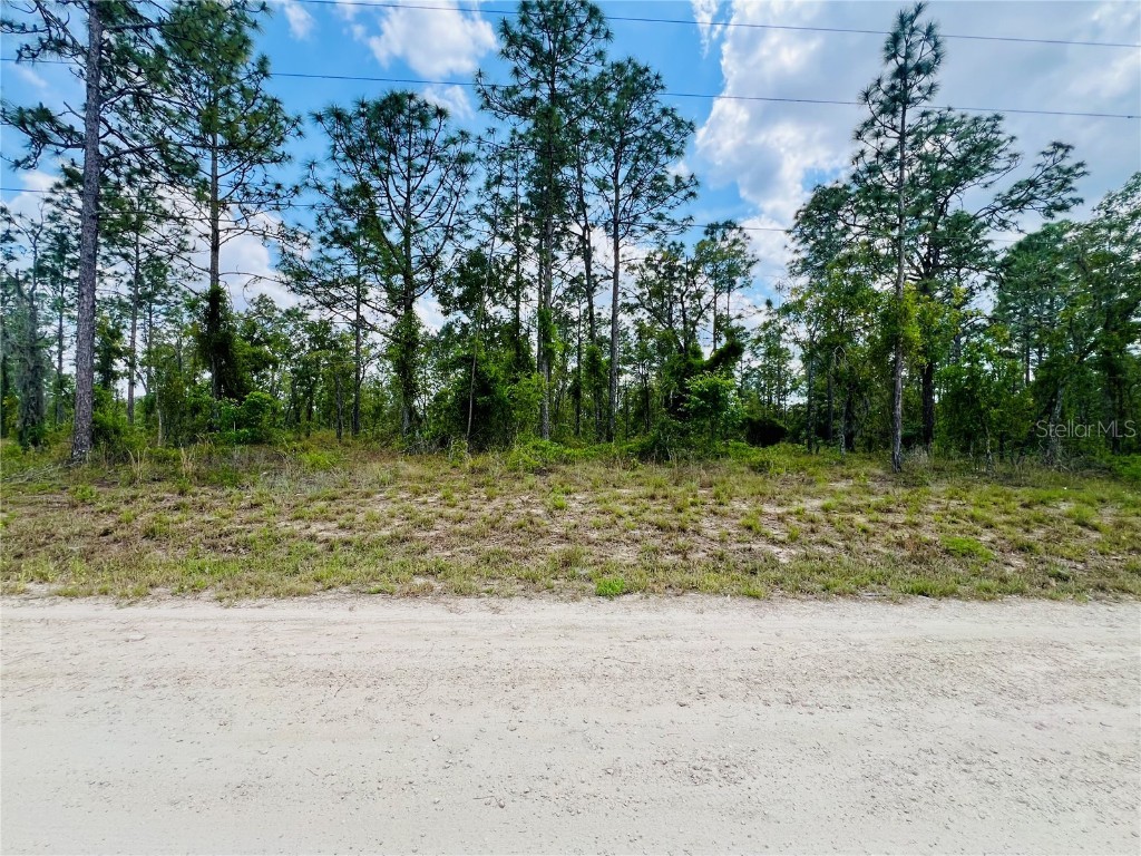 0000 NE 132 Terrace Terrace Williston FL 32696 OM699989 image4