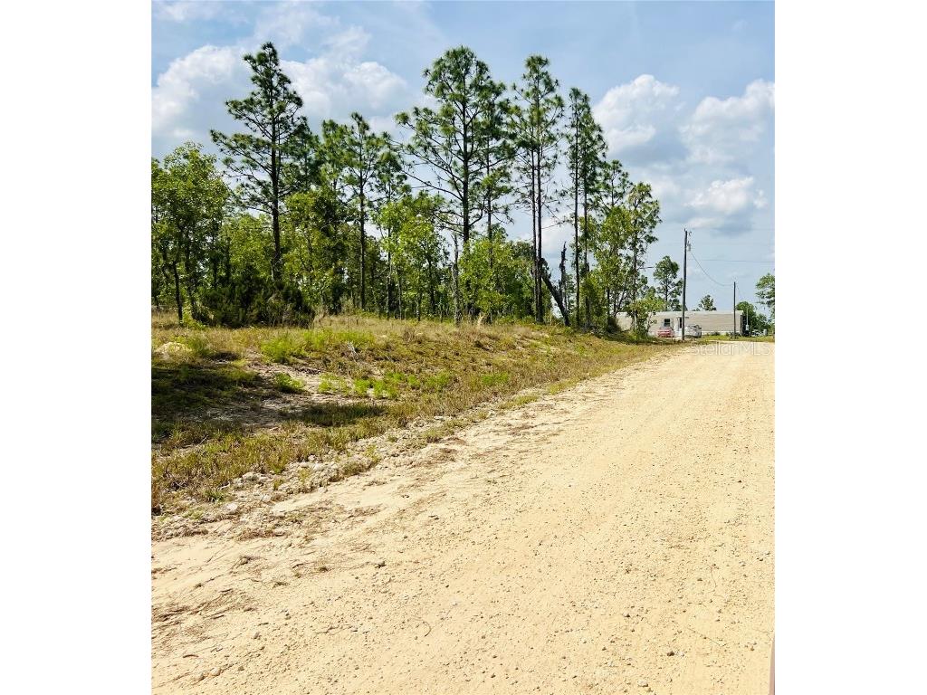 0000 NE 132 Terrace Terrace Williston FL 32696 OM699990 image3