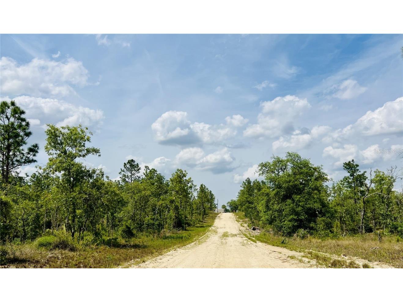 0000 NE 132 Terrace Terrace Williston FL 32696 OM699991 image3