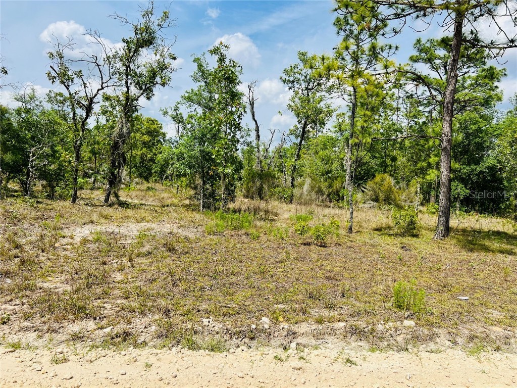 0000 NE 132 Terrace Terrace Williston FL 32696 OM699992 image3