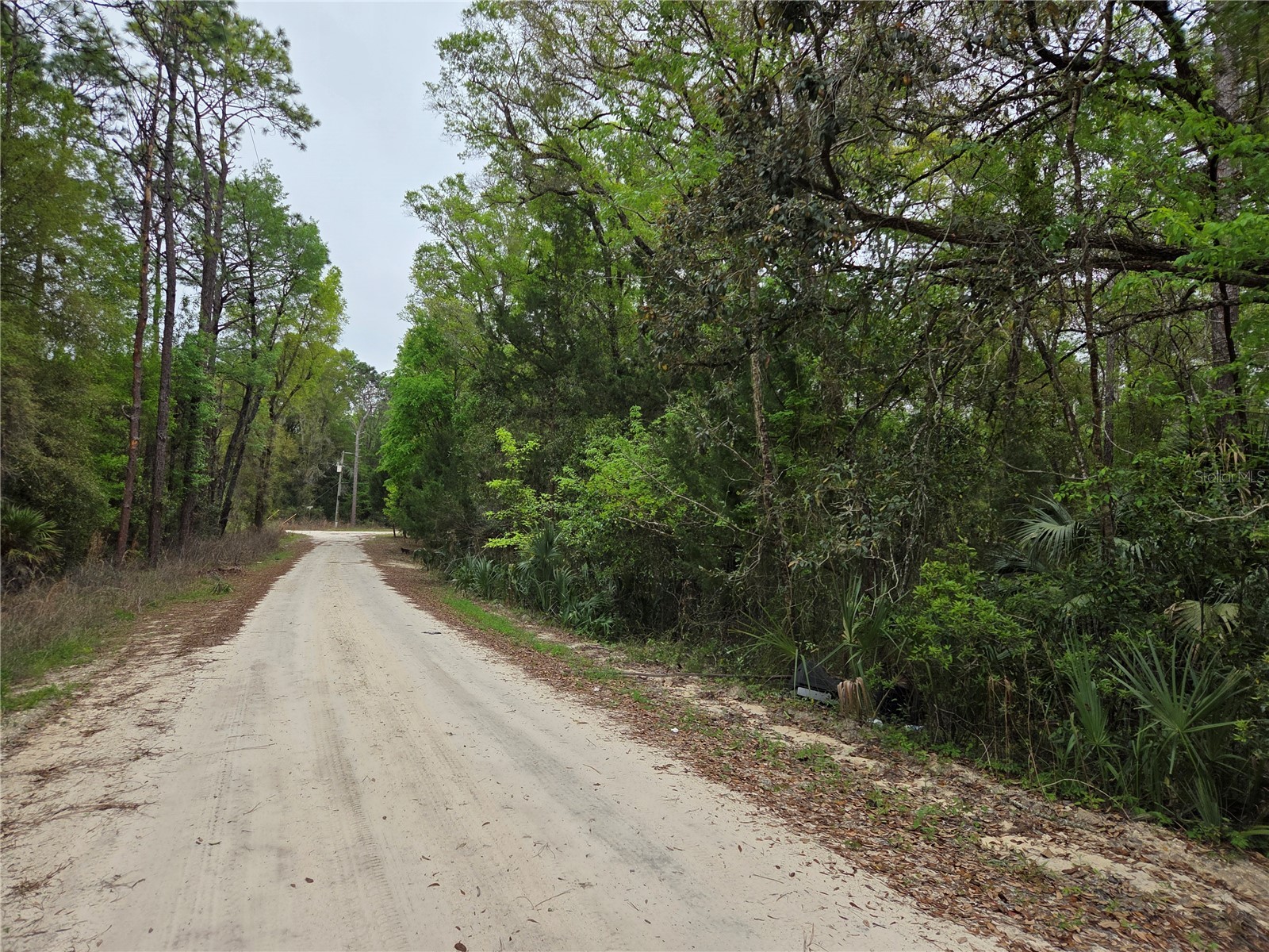 0000 NE 138th Terrace Williston FL 32696 OM721690 image1