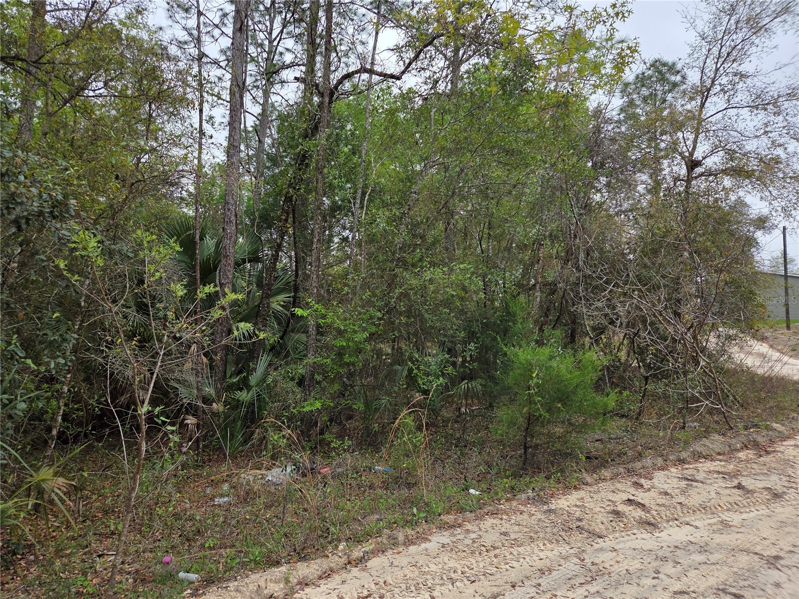 0000 NE 138th Terrace Williston FL 32696 OM721690 image8