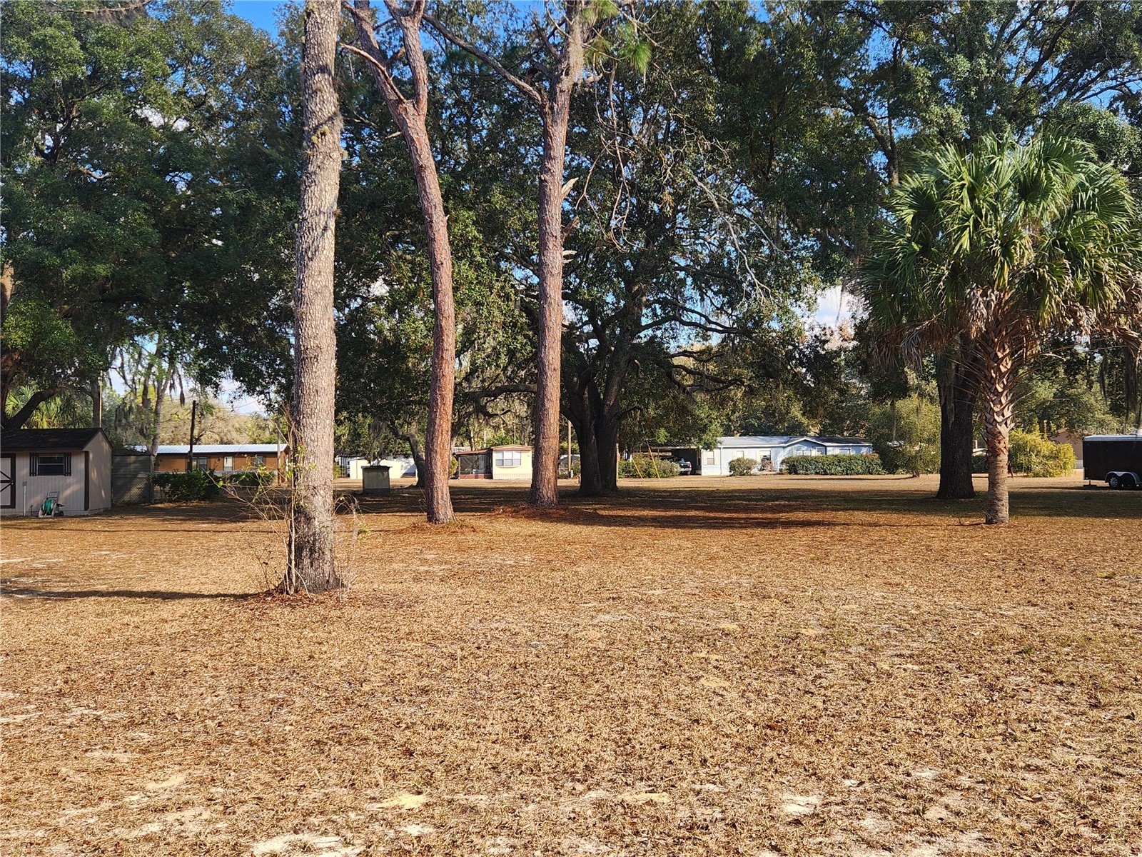 0000 NE 148th Court Fort Mc Coy FL 32134 OM718143 image1