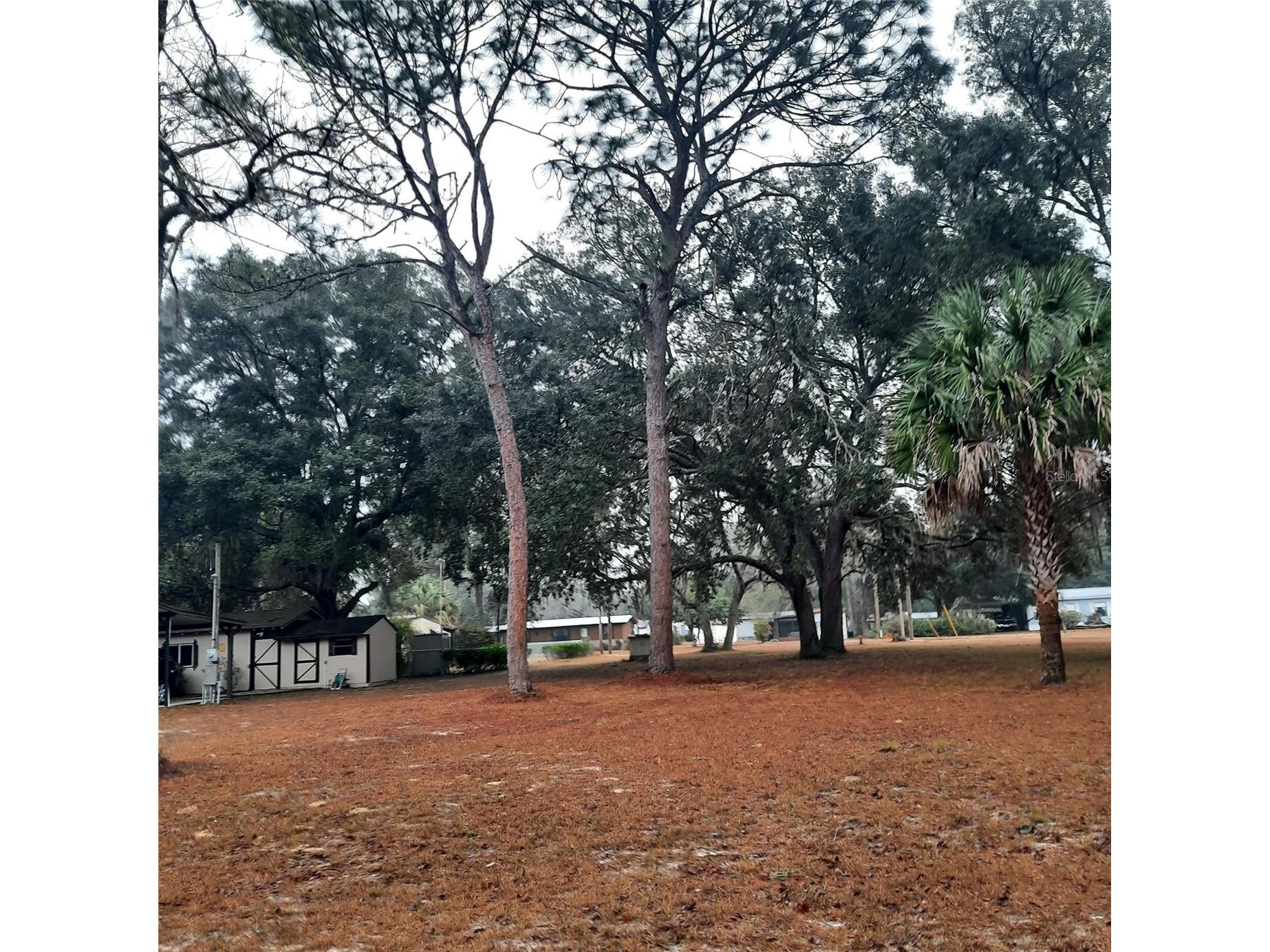 0000 NE 148th Court Fort Mc Coy FL 32134 OM718143 image2