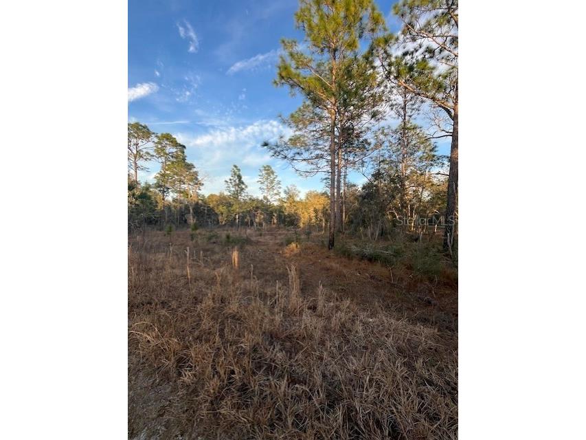 0000 NE 148th Court Williston FL 32696 GC519381 image1