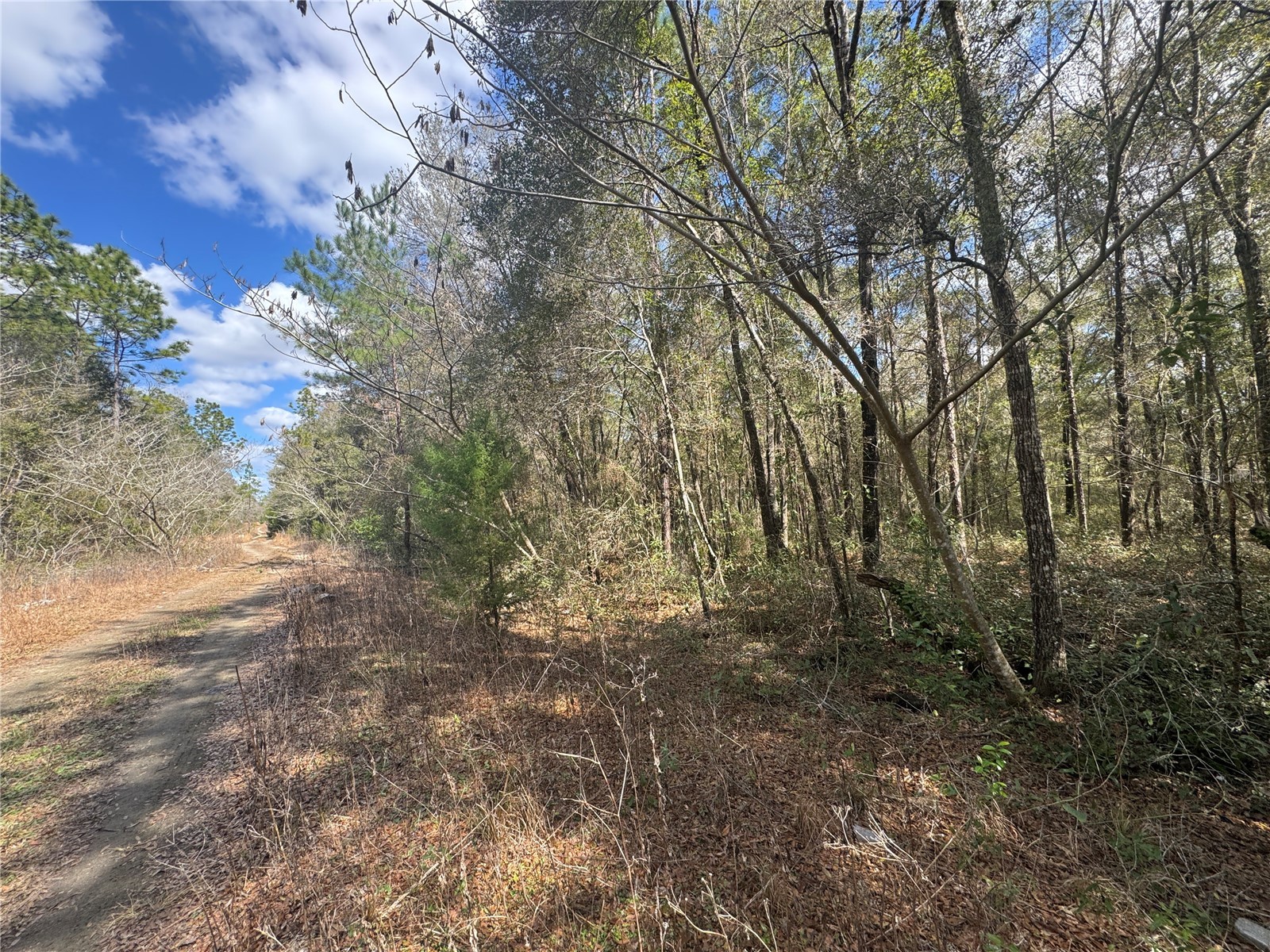 0000 NE 154th Avenue Williston FL 32696 OM717131 image3