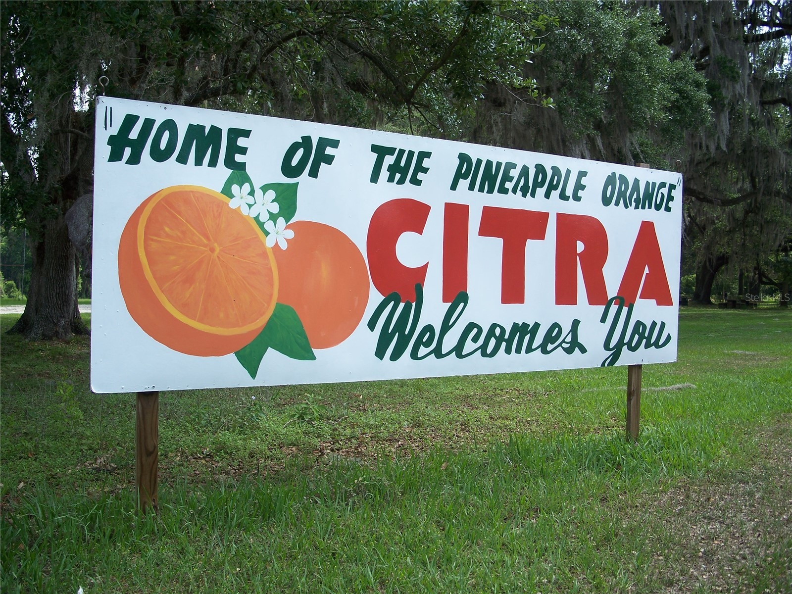 0000 NE 164th Place E Citra FL 32113 O6370445 image3