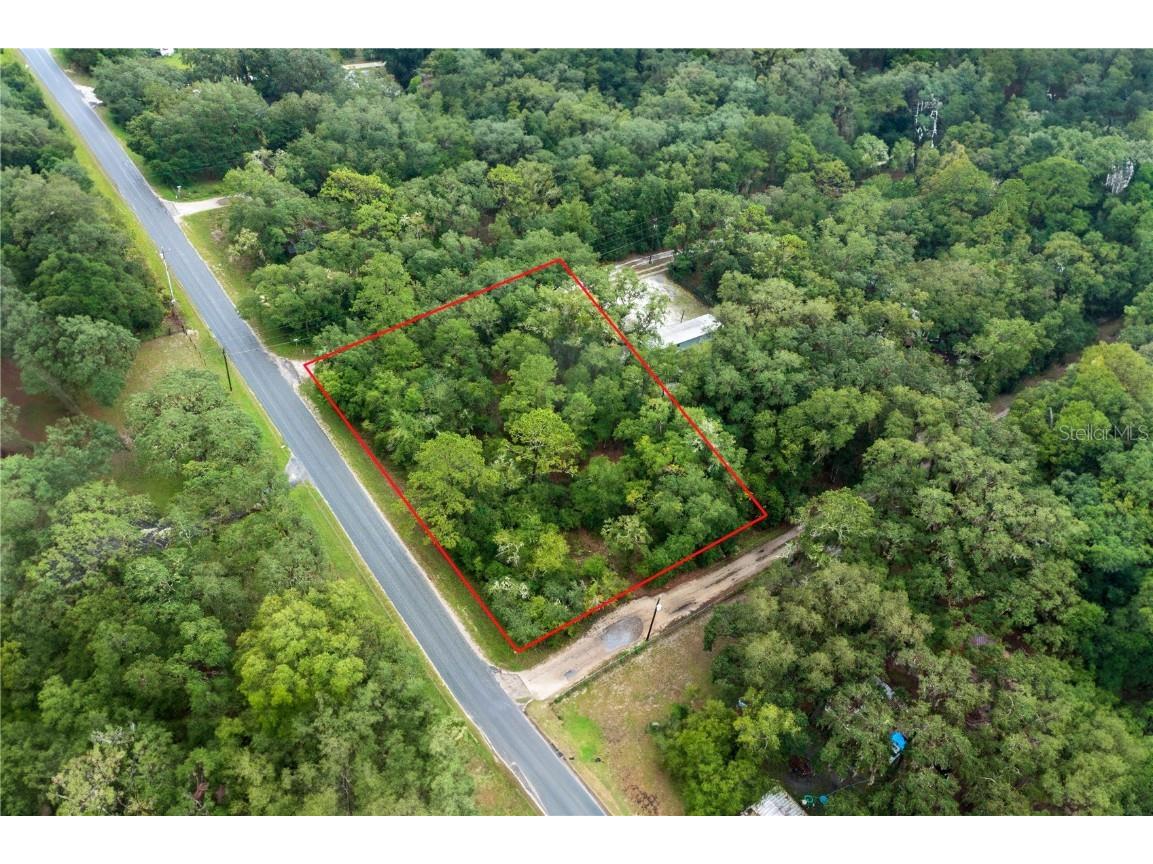 0000 NE 165th Street Fort Mc Coy FL 32134 OM662269 image1