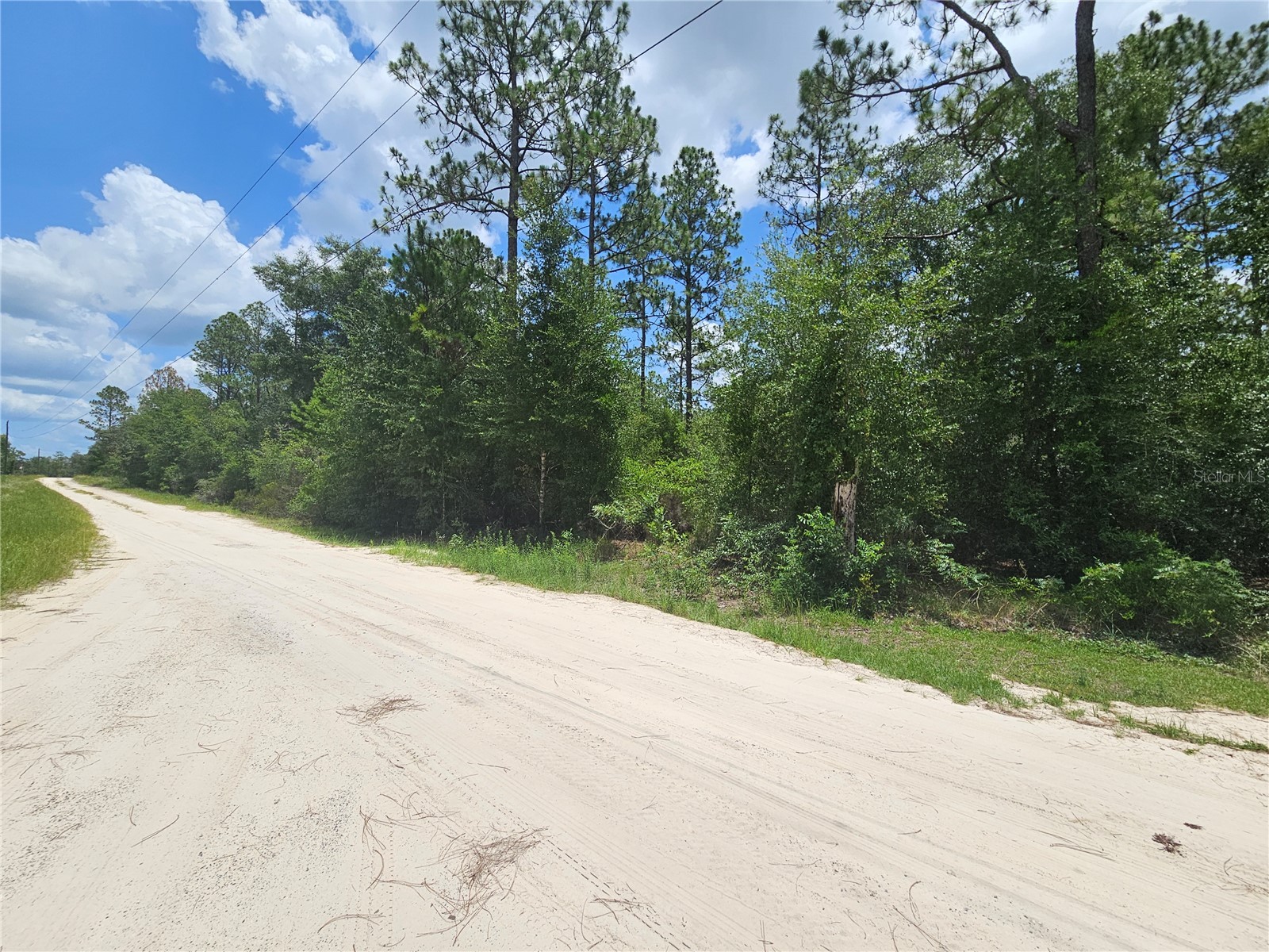 0000 NE 40th Lane Williston FL 32696 OM728124 image1