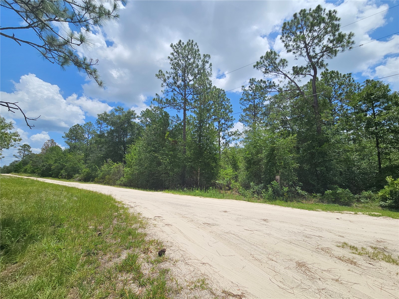 0000 NE 40th Lane Williston FL 32696 OM728124 image3
