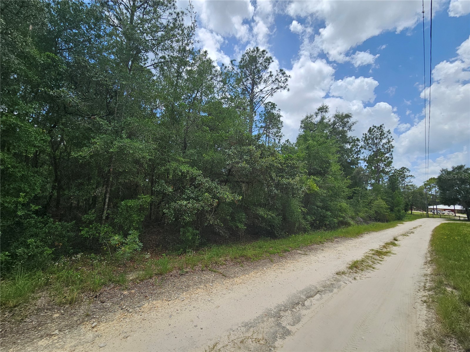 0000 NE 40th Lane Williston FL 32696 OM728124 image4