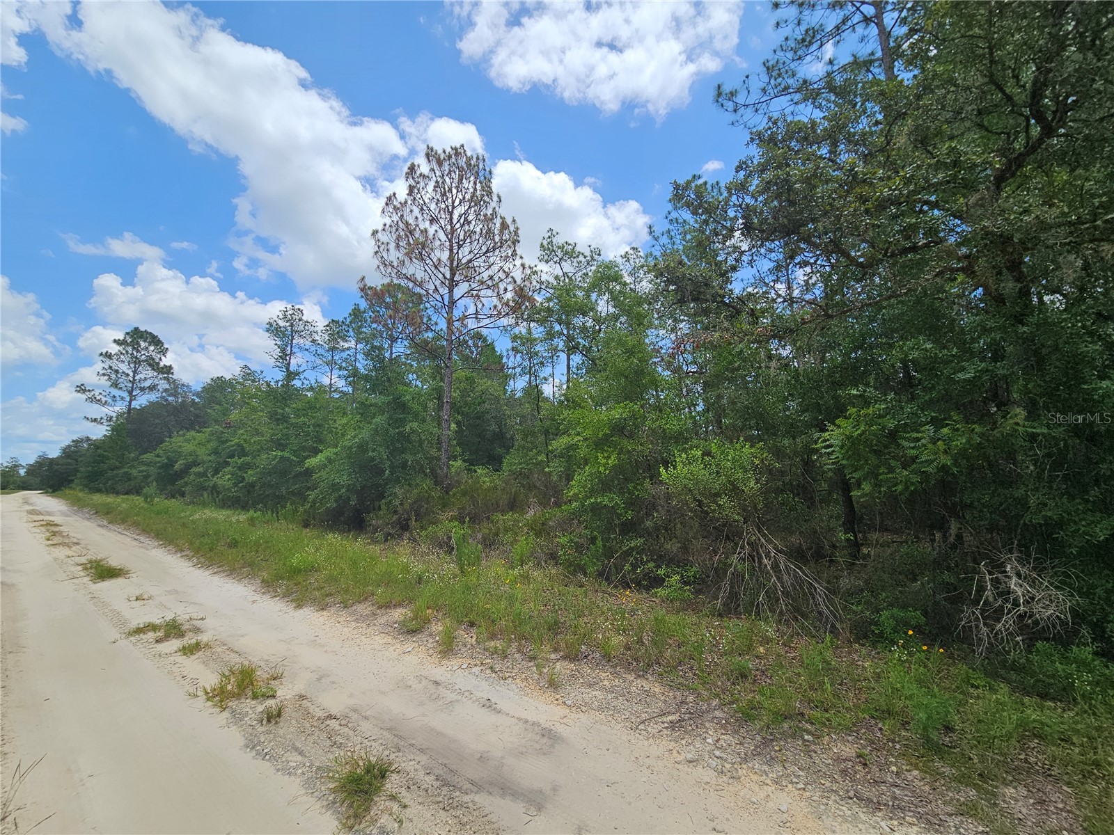 0000 NE 40th Lane Williston FL 32696 OM728124 image5