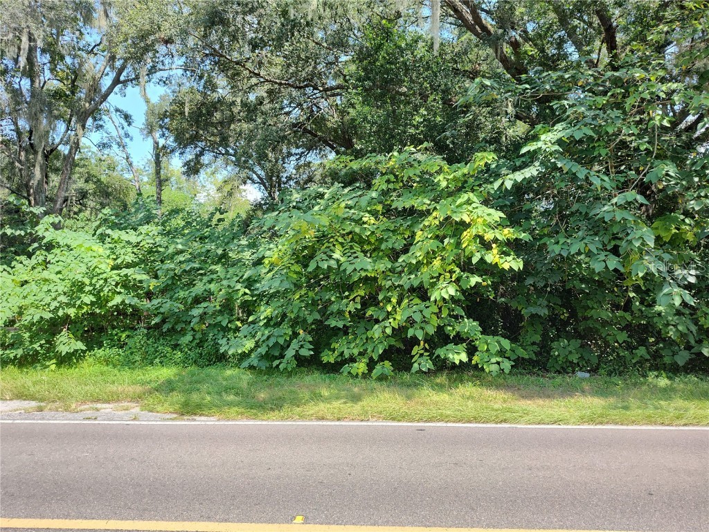 0000 NE 40th Street Williston FL 32696 OM671705 image1