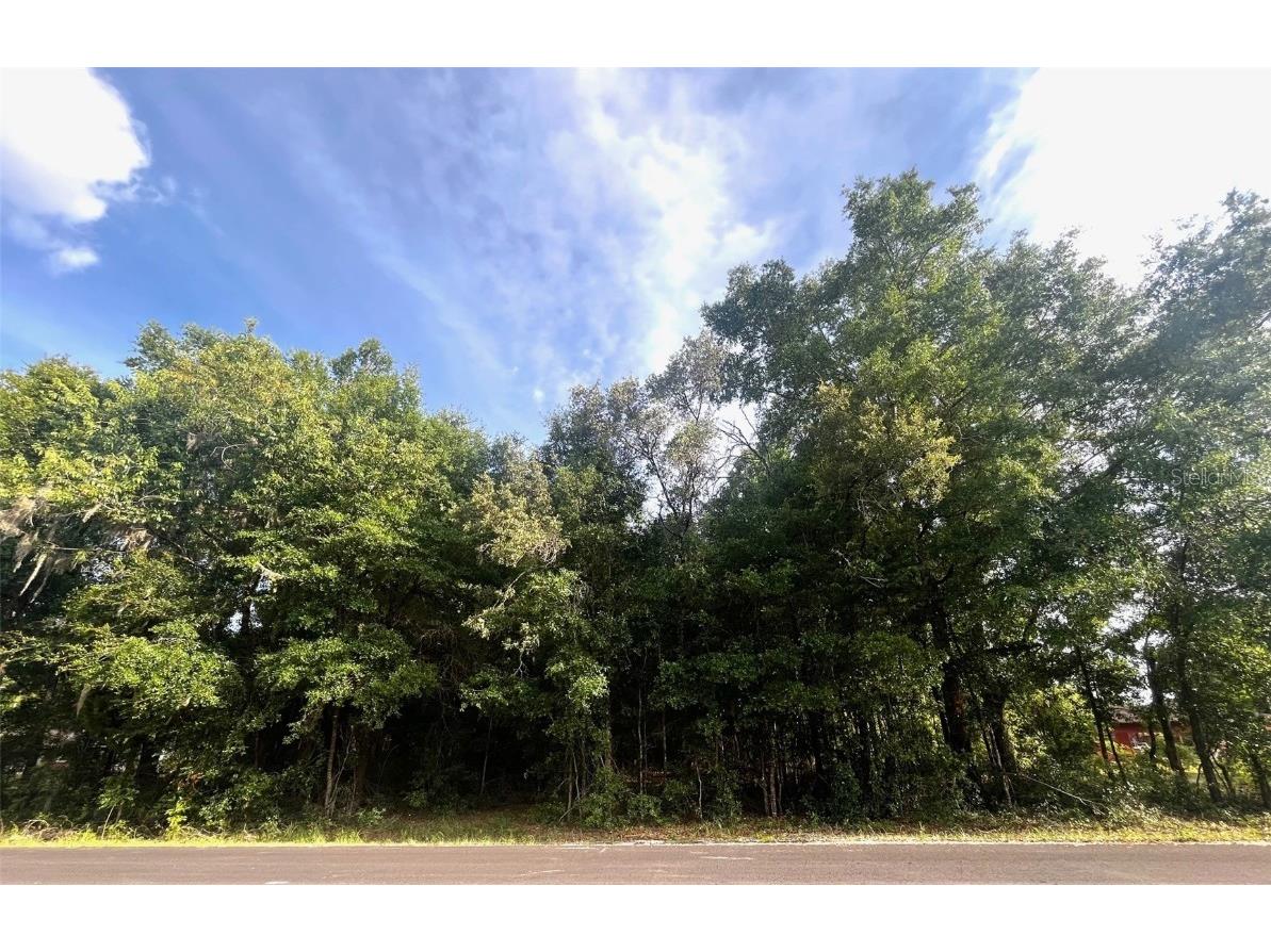 0000 NE 56th Street High Springs FL 32643 GC531259 image1