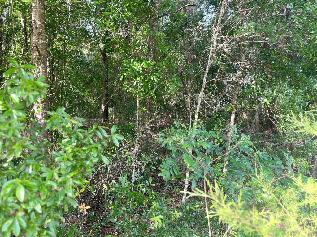 0000 NE 56th Street High Springs FL 32643 GC531259 image10