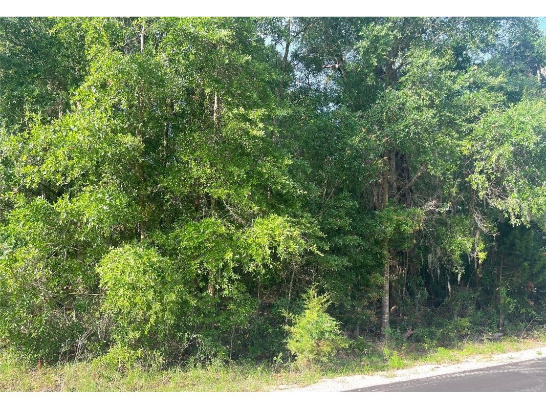 0000 NE 56th Street High Springs FL 32643 GC531259 image11