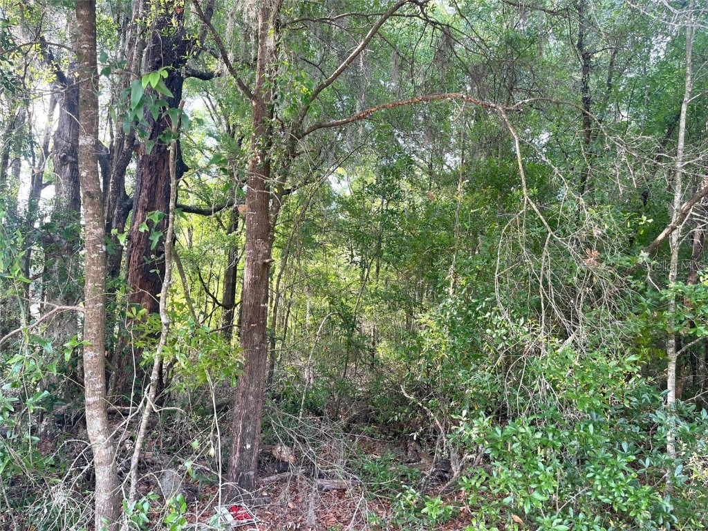 0000 NE 56th Street High Springs FL 32643 GC531259 image13