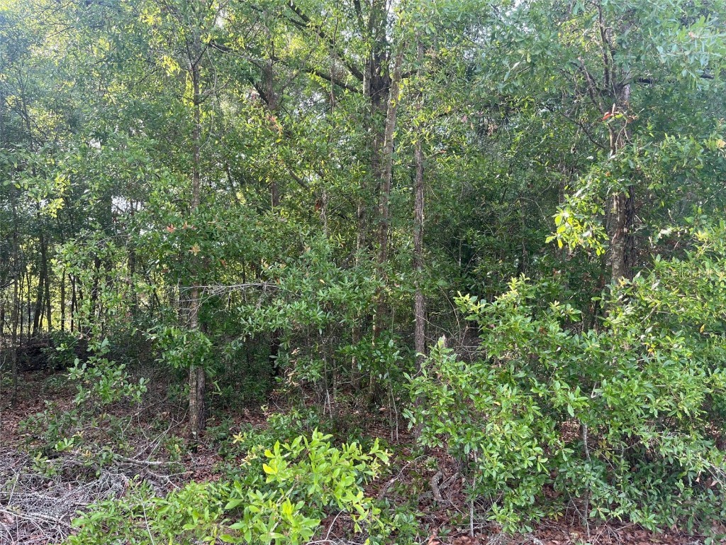 0000 NE 56th Street High Springs FL 32643 GC531259 image16