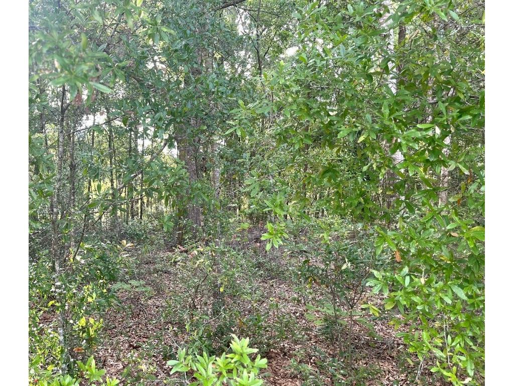 0000 NE 56th Street High Springs FL 32643 GC531259 image17