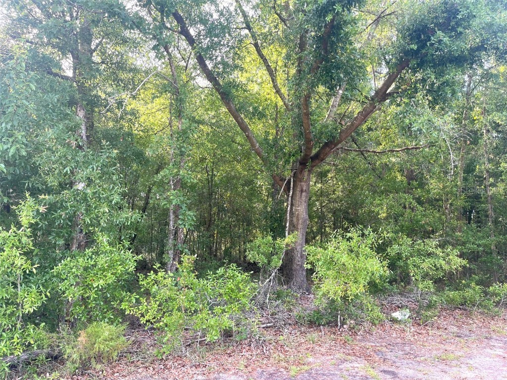 0000 NE 56th Street High Springs FL 32643 GC531259 image18