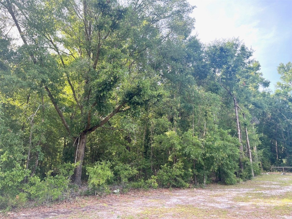 0000 NE 56th Street High Springs FL 32643 GC531259 image19