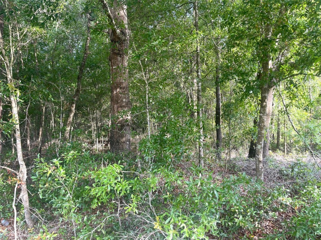 0000 NE 56th Street High Springs FL 32643 GC531259 image2